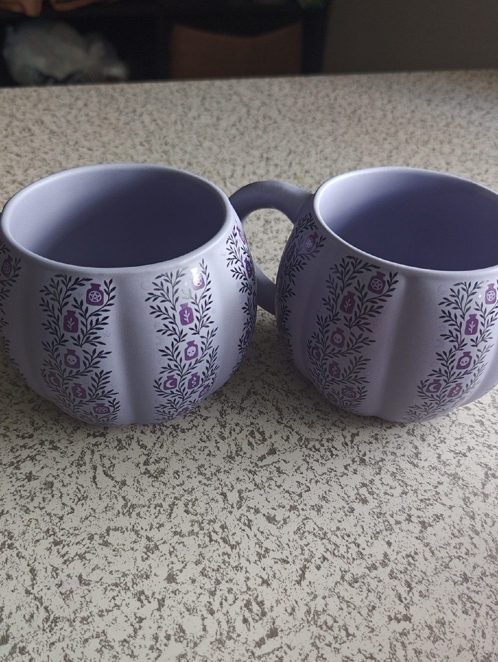 2 Coffee Mugs 12 Fl.Oz Witchy Potions Purple Pumpkin Apothecary Sorcery